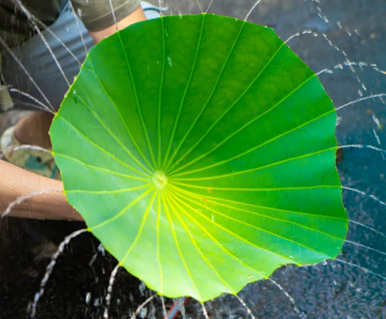 星型网络拓扑结构的传输方式